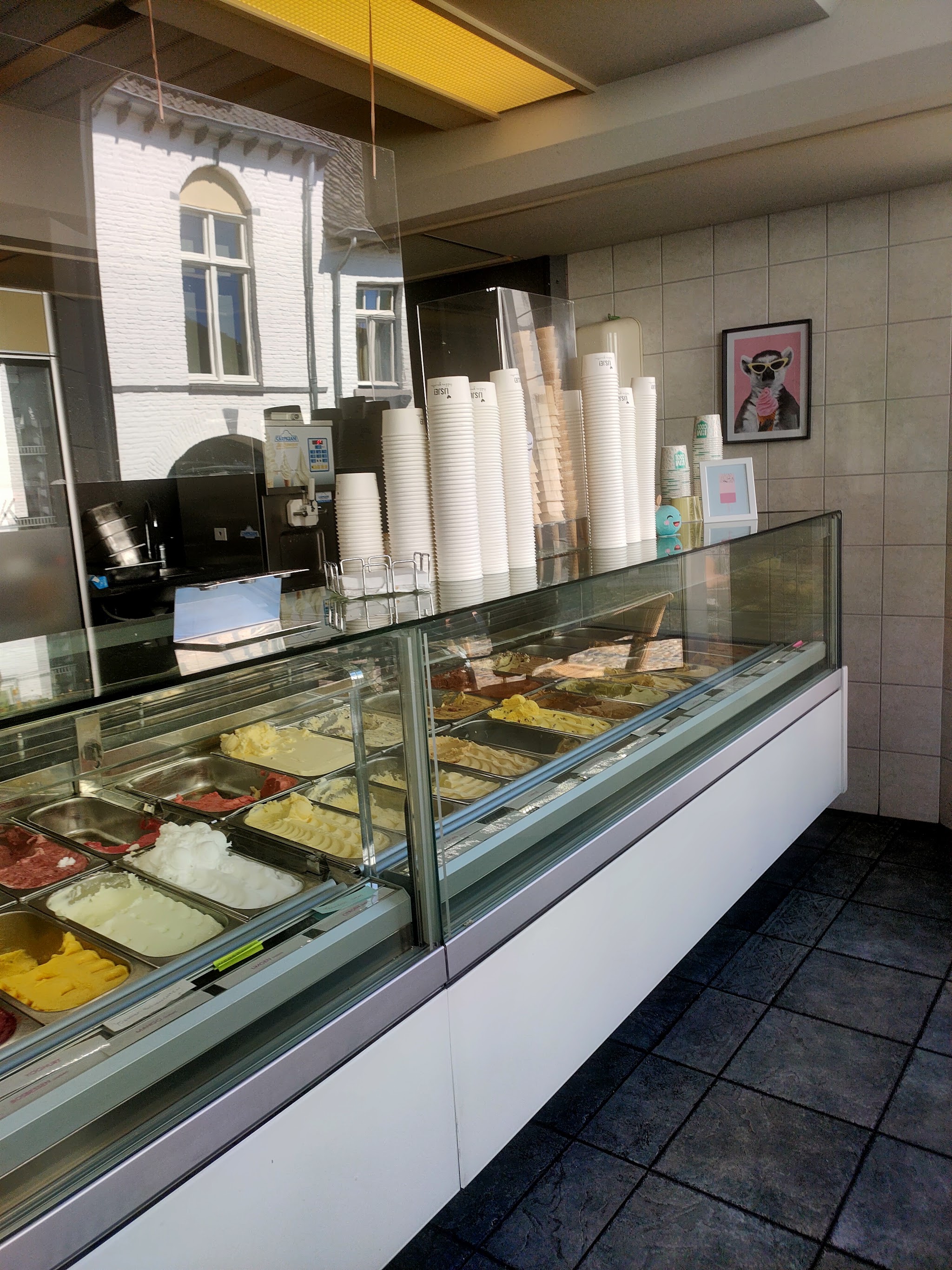 De ijsvitrine met ruim een dozijn smaken schepijs